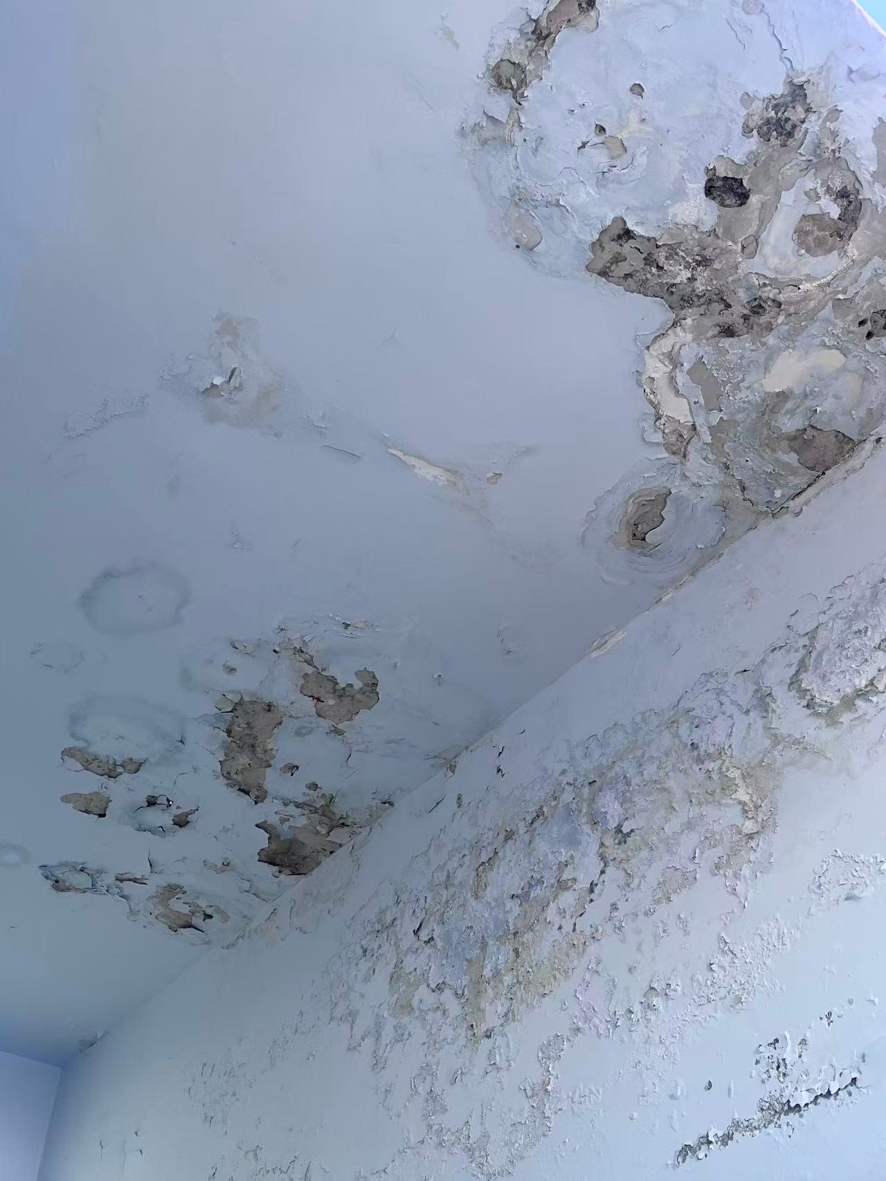 贝壳防水产品图2