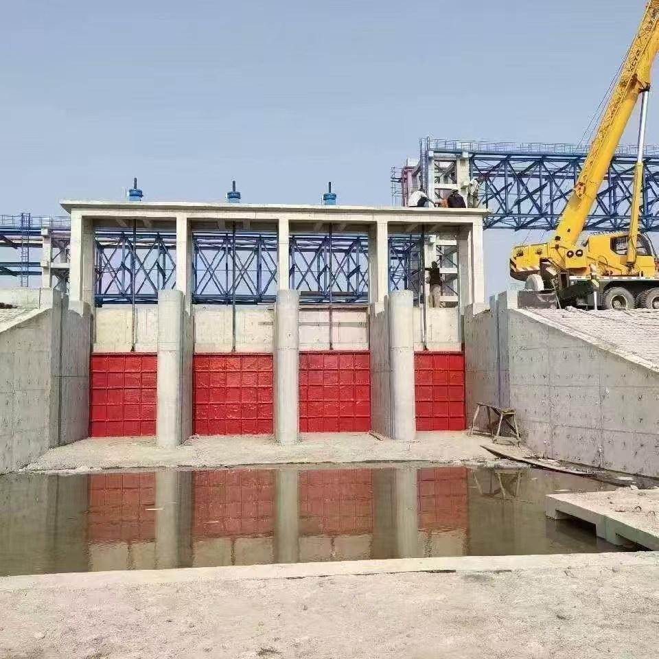 衡水顺益水工机械厂产品示例2