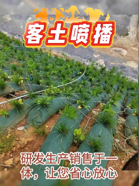 客土喷播施工