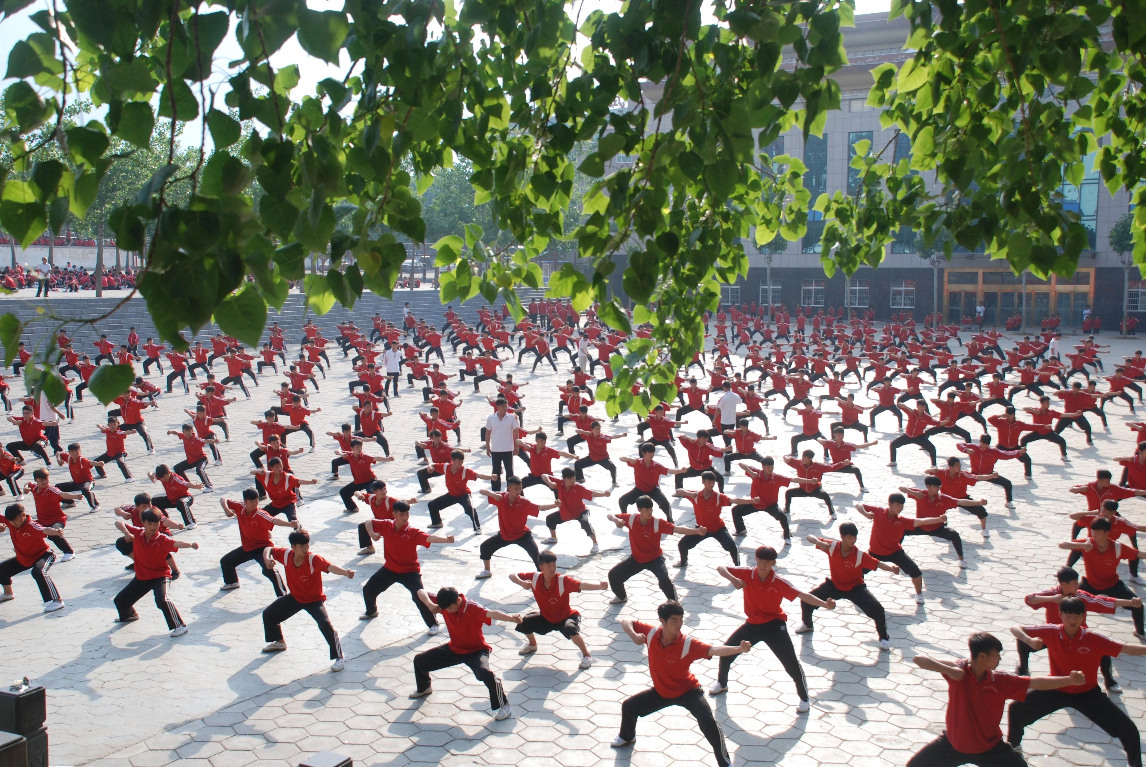 登封市少林小龙武术学校