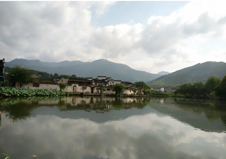 齐鲁大地旅行社图片1