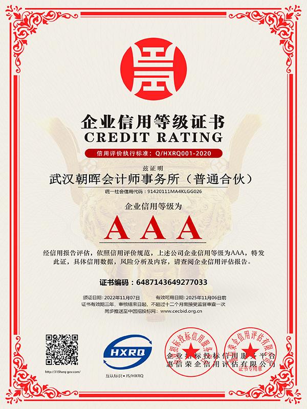武汉朝晖会计师事务所团队合影
