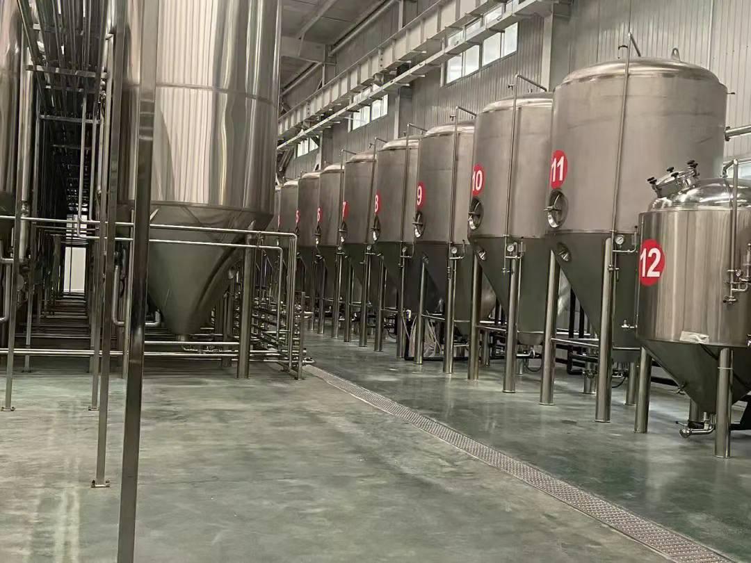山东尊皇发酵设备出口案例