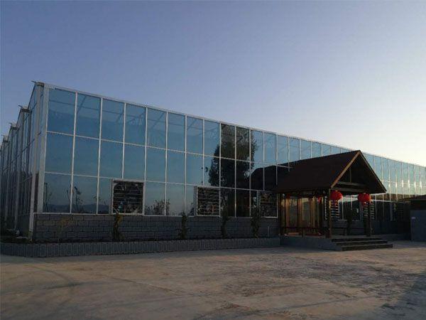 山东大楚温室工程有限公司