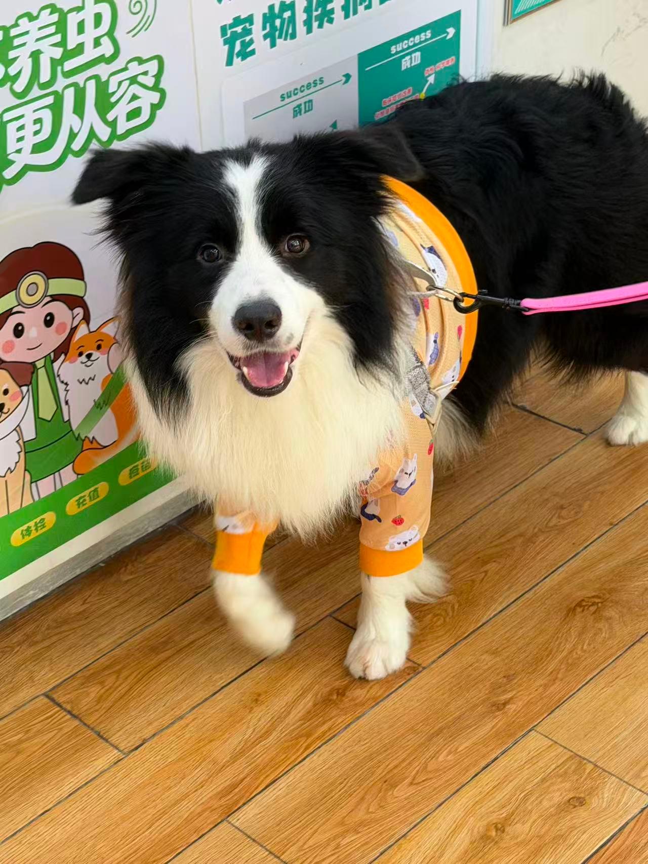 瑞派太安医院环境1