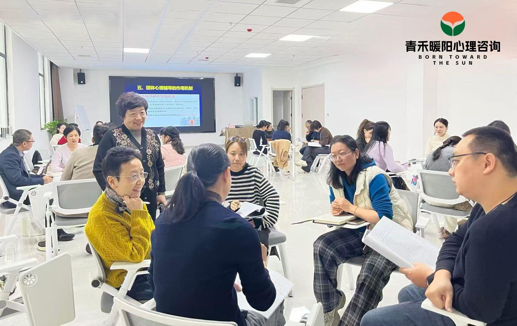 青禾暖阳心理咨询团队教研