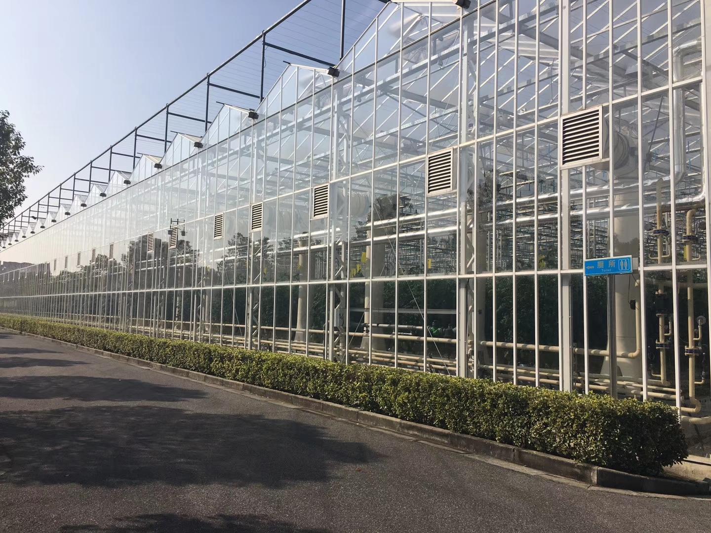 潍坊圣宝利农业科技有限公司温室大棚实景
