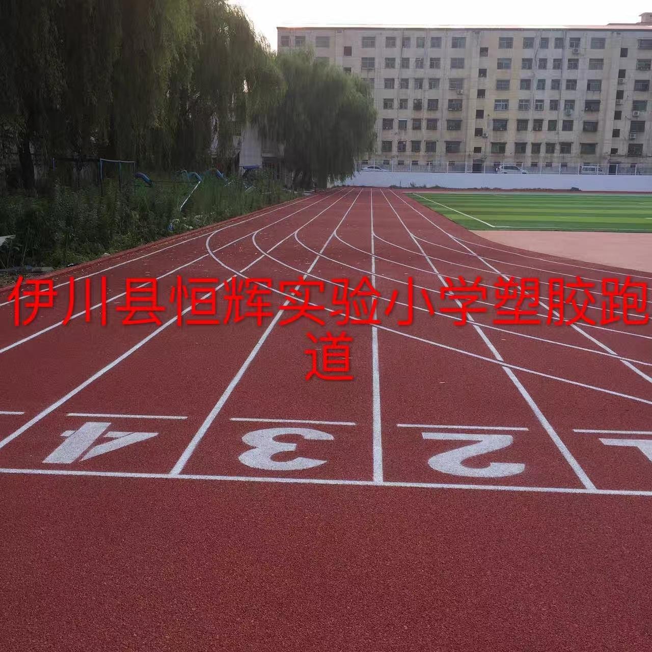 骏翔体育设施工程案例