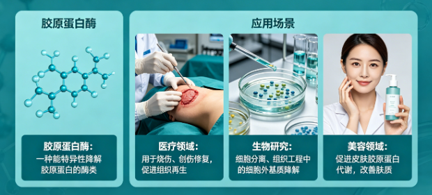 山东唐正生物科技有限公司