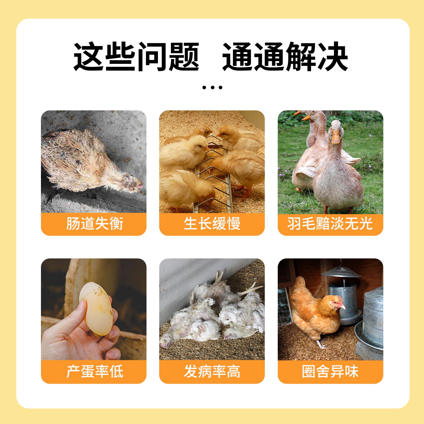 超级菌王生产基地