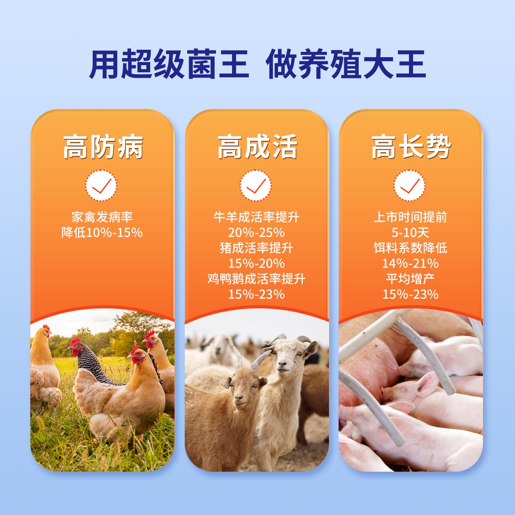 超级菌王研发实验室