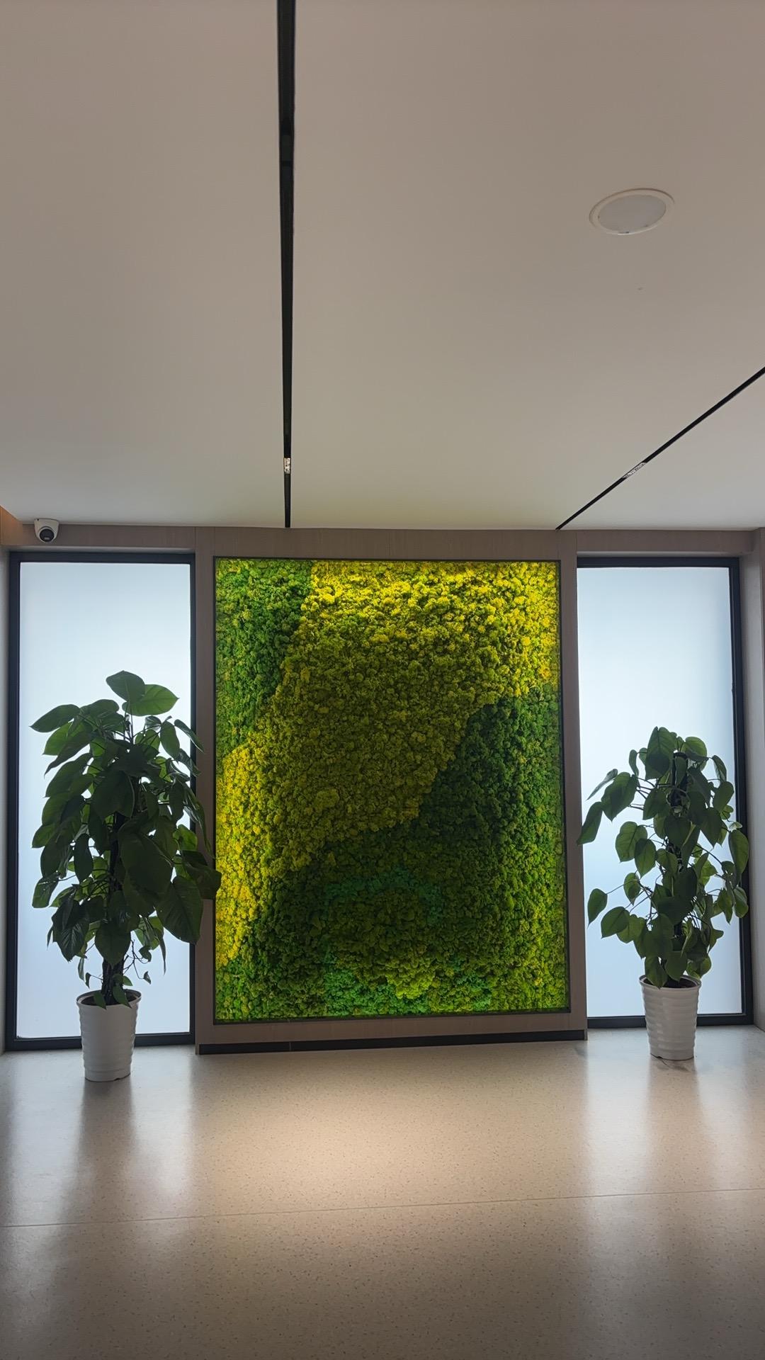 江西碧盈花卉园艺设计有限公司示例图片2