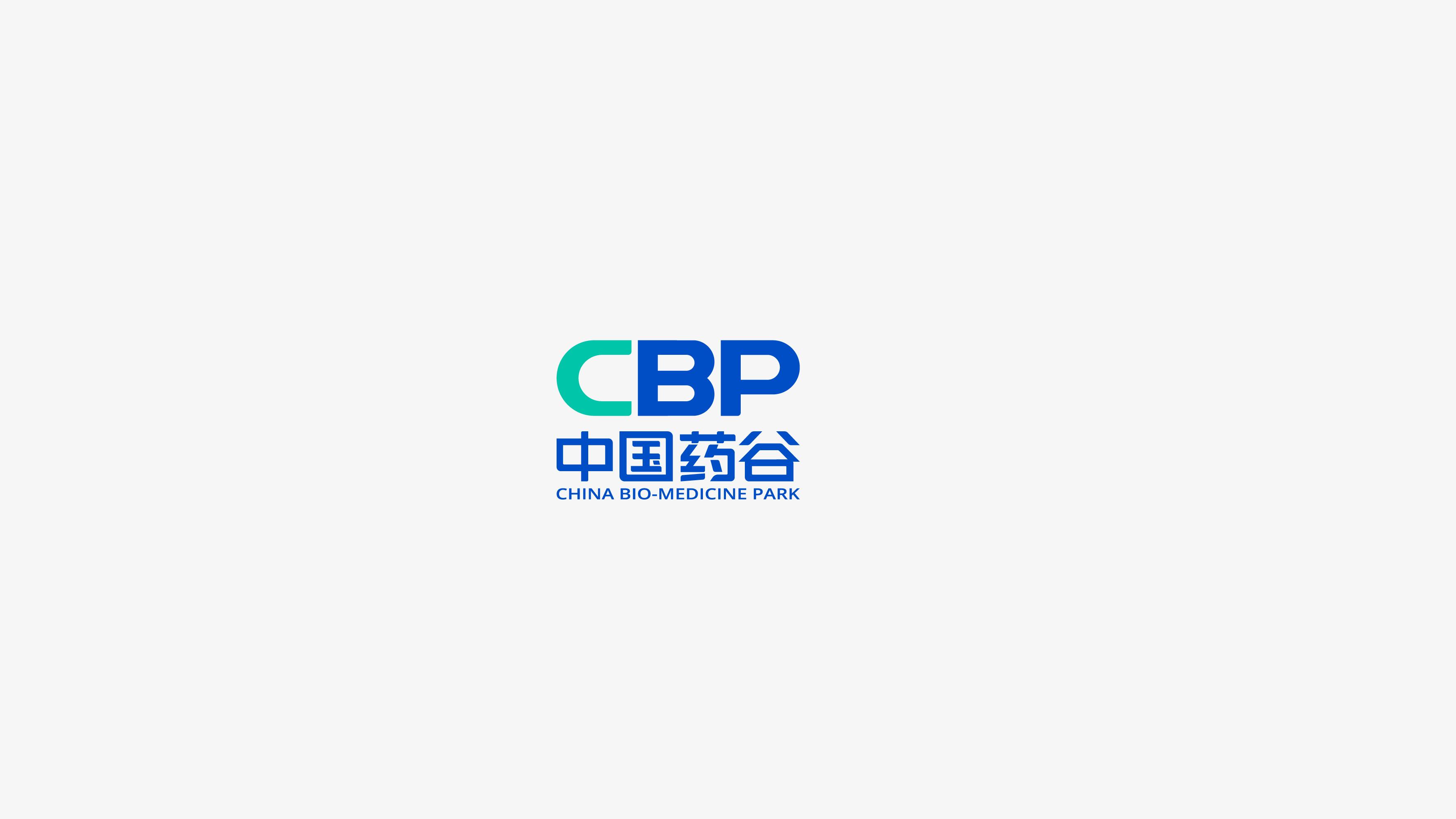定未品牌策略设计团队工作场景
