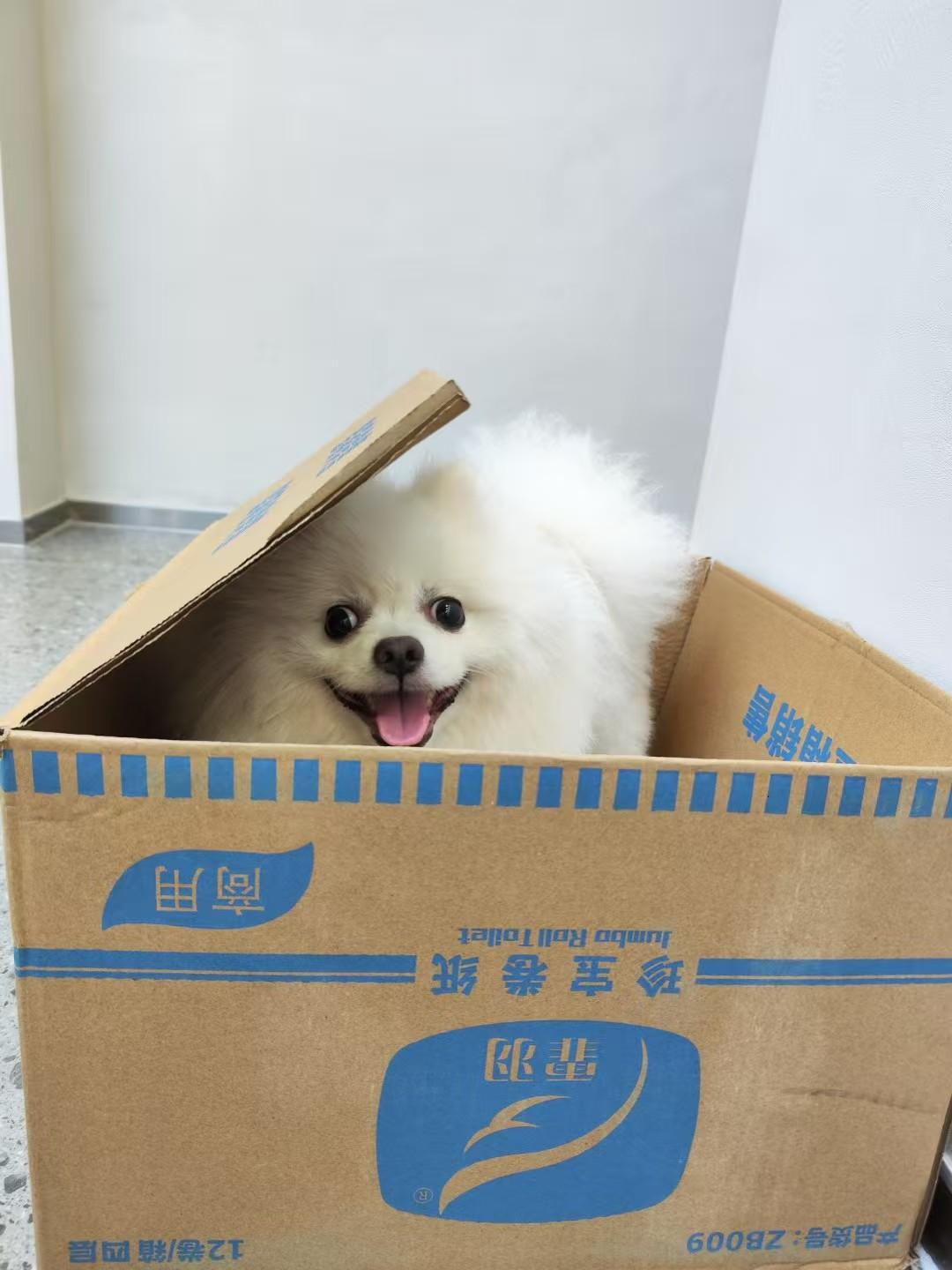 深圳市爱特宠物医院