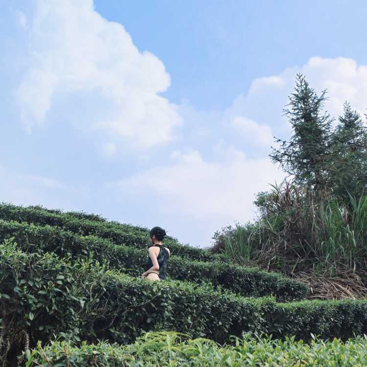 森林餐厅环境