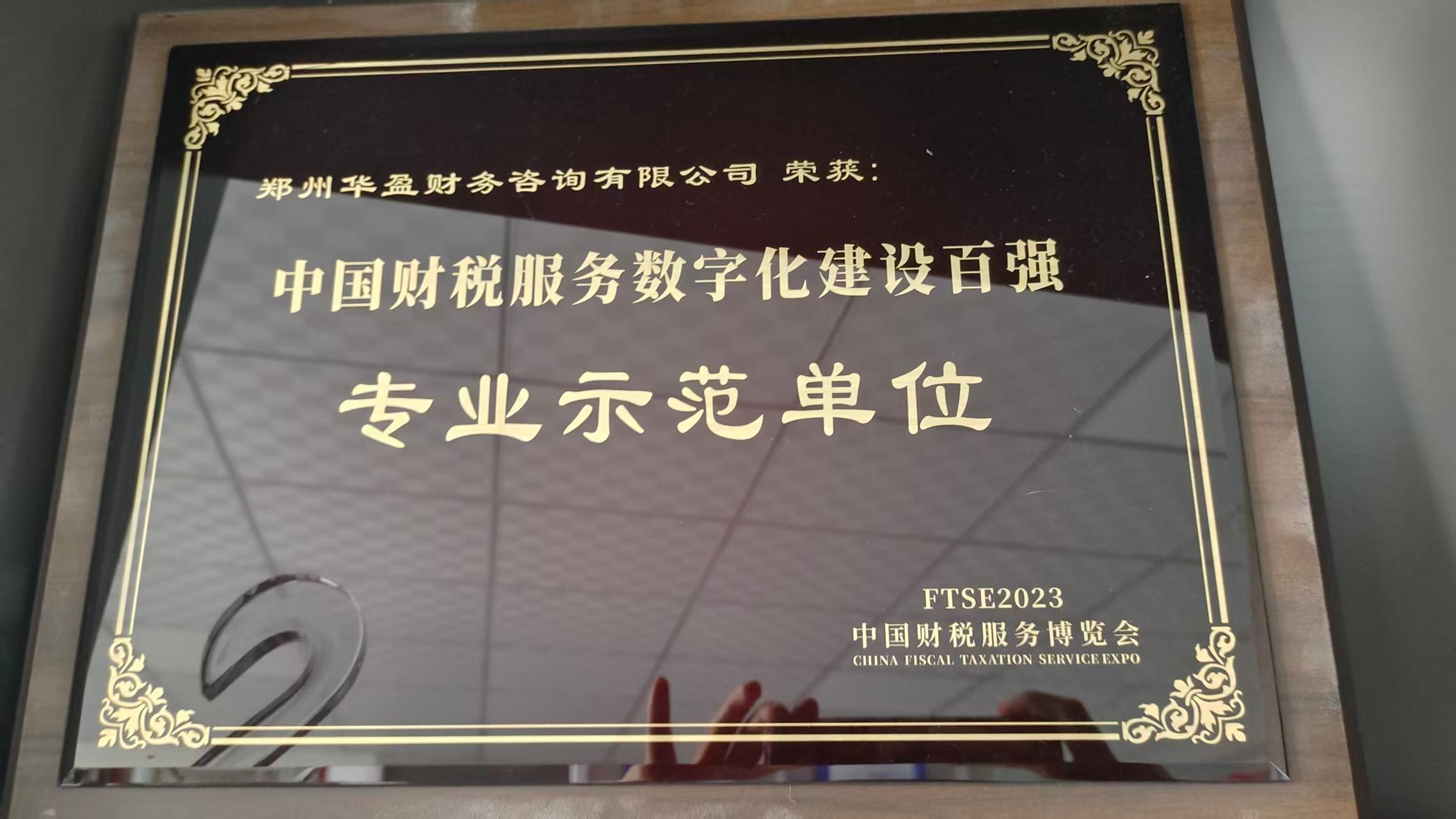 郑州市华盈税务咨询集团有限公司