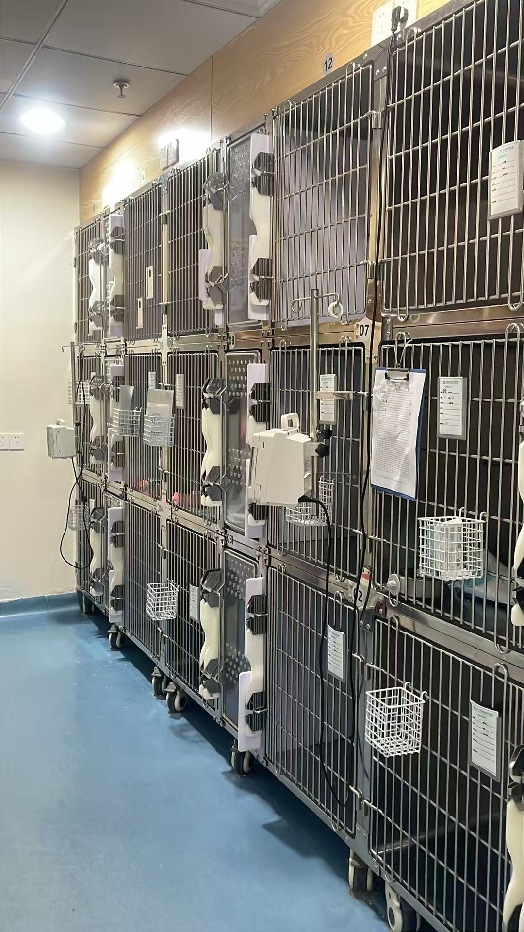 深圳市瑞派派特堡南极宠物医院