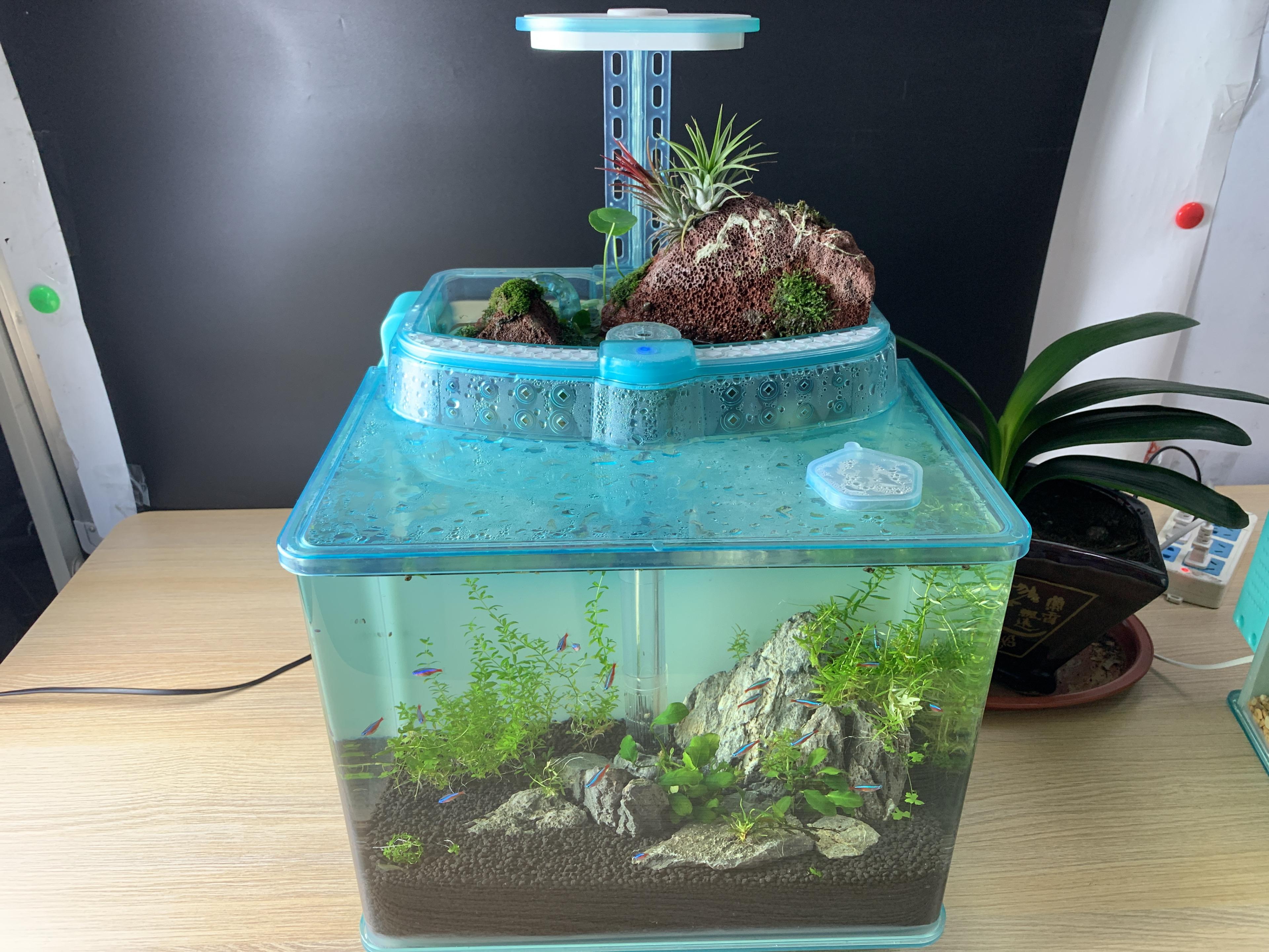 江阴九品宠物用品有限公司产品图1