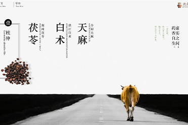 郑州金宏达