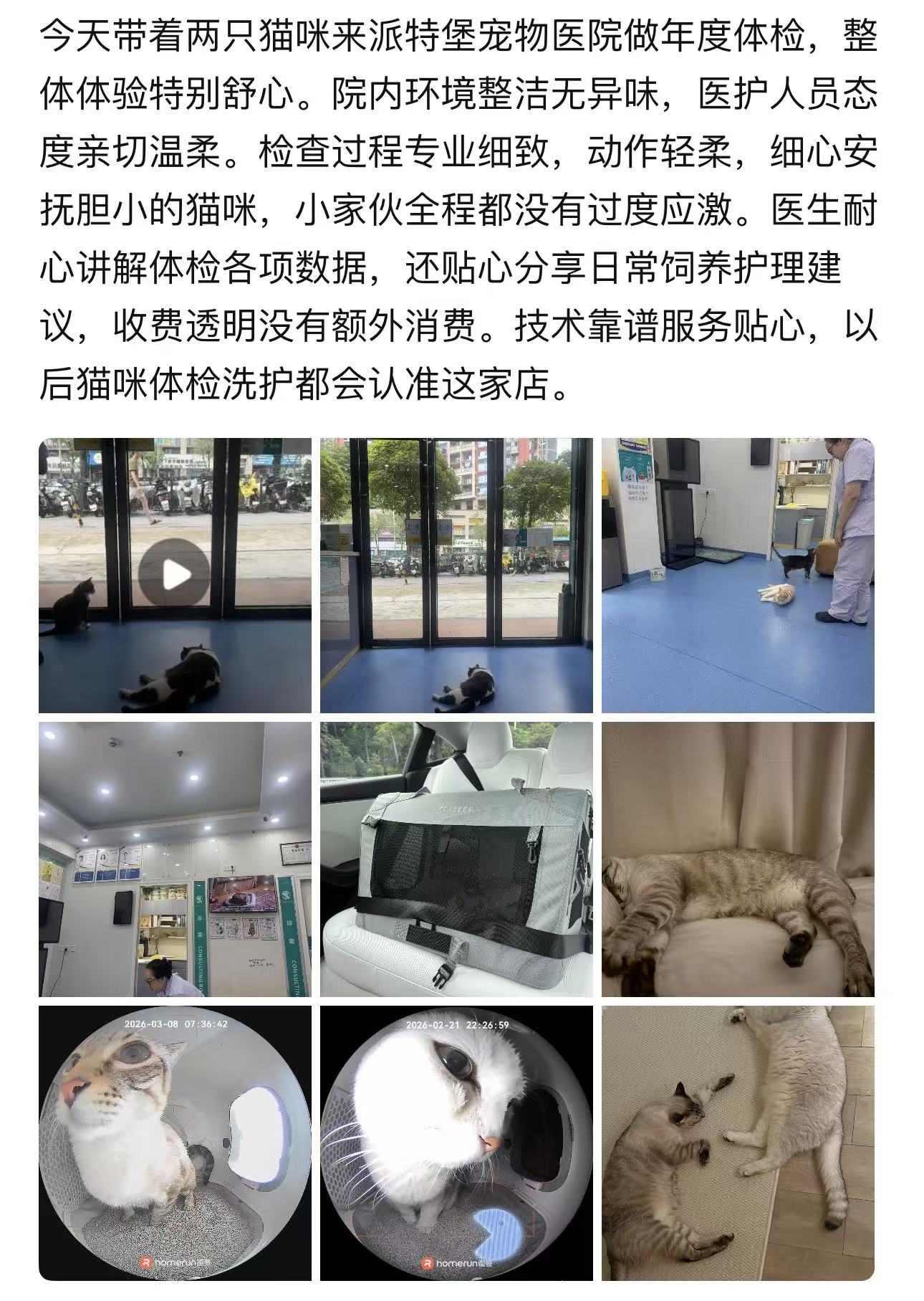 深圳市瑞派派特堡同步宠物医院环境展示