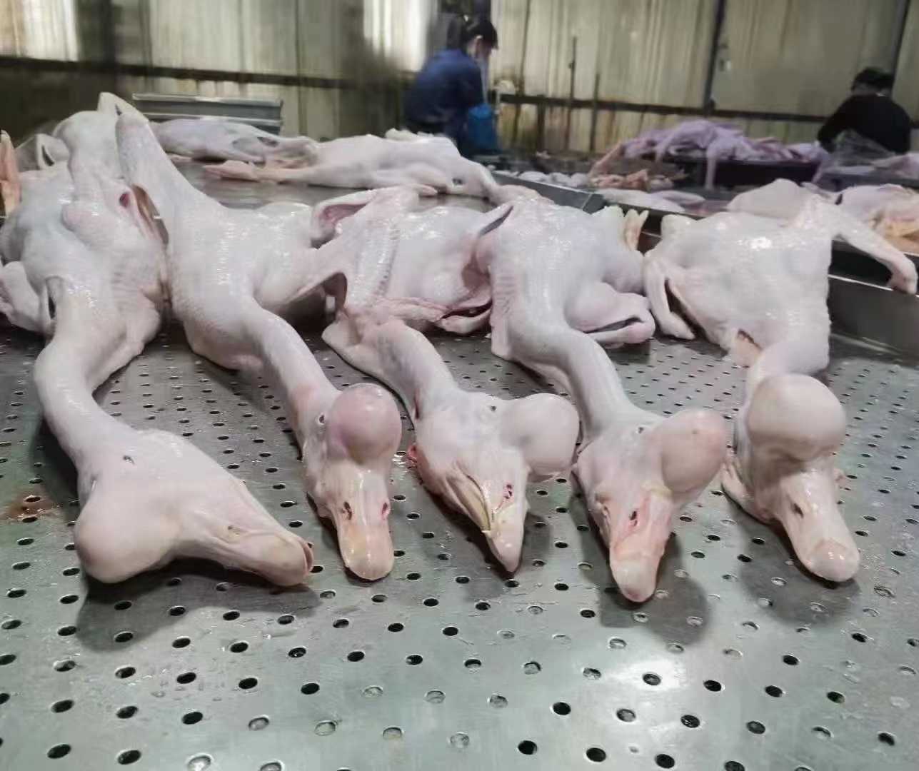 汇品食品商贸中心产品图2
