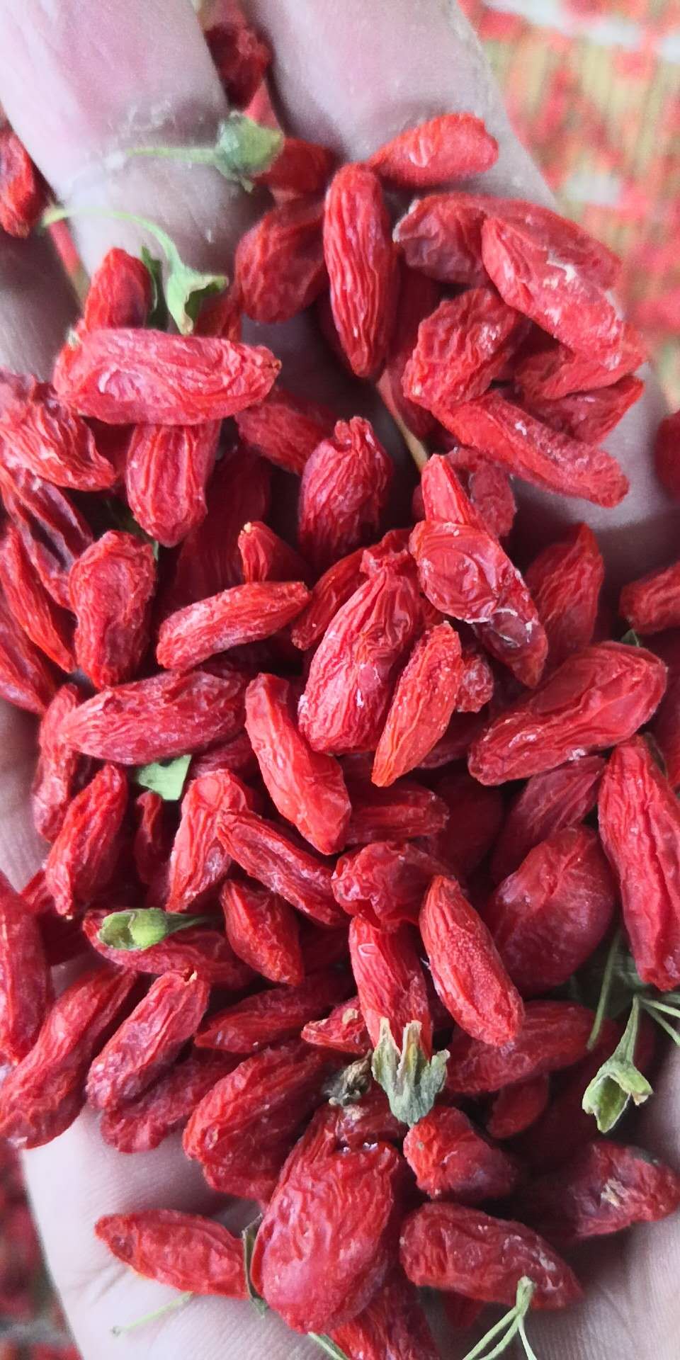 广东奥伯特热泵烘干机