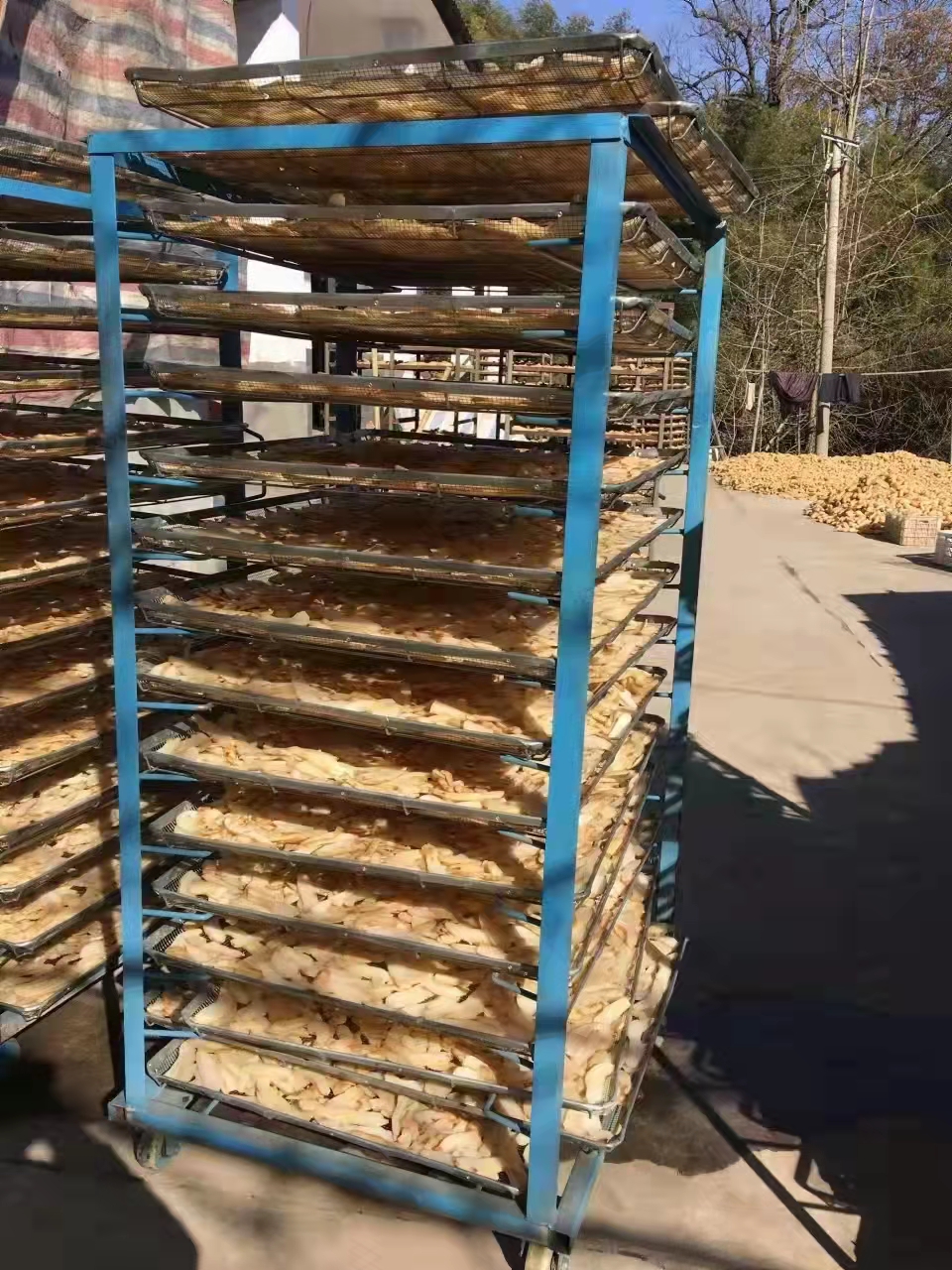广东奥伯特热泵烘干机设备