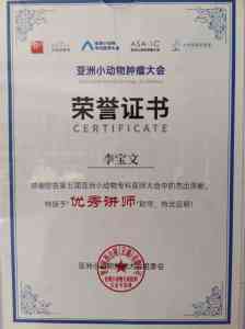 郑州宠物诊疗服务推荐：宠物骨科微创、绝育及专科诊疗优质之选
