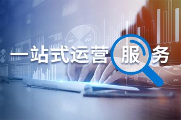 数字营销方案