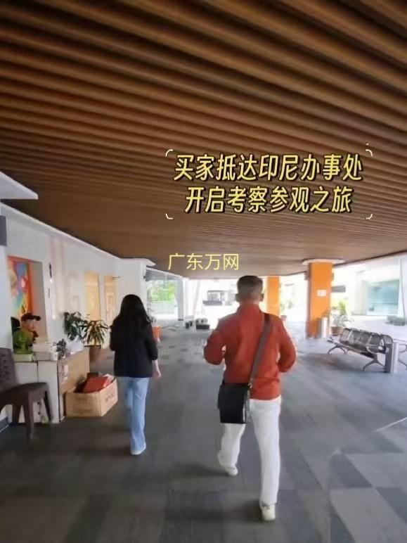 广东万网服务案例图1