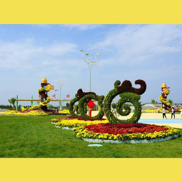 开封前方园艺菊花基地
