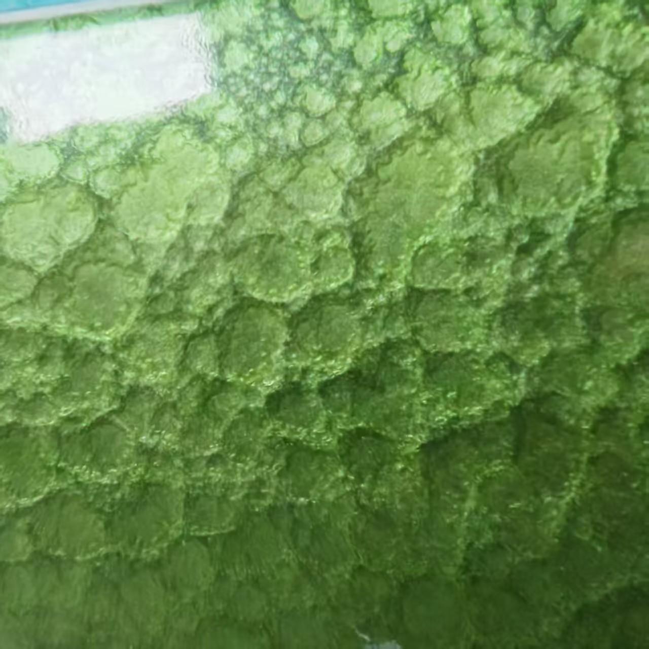天脉新材料