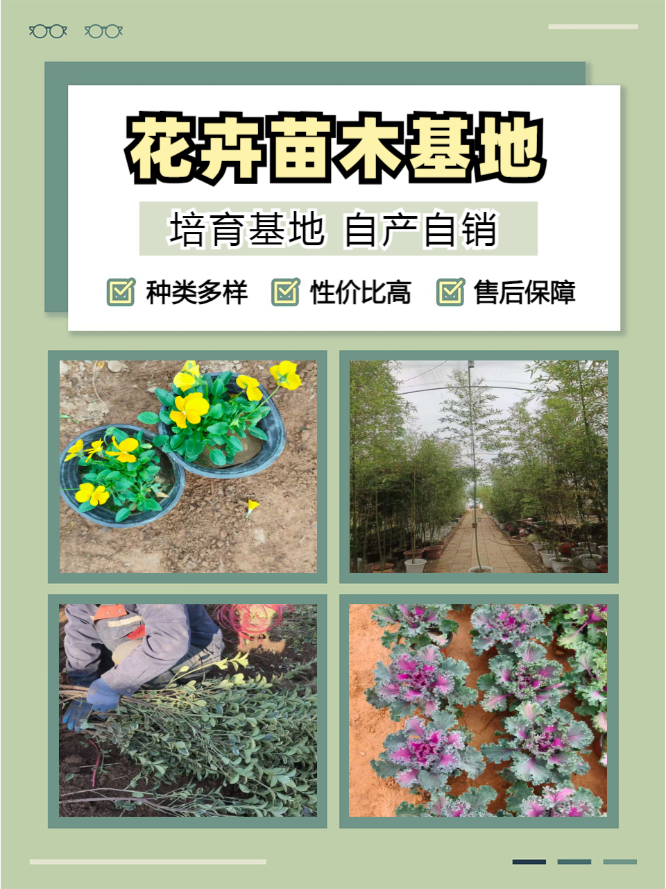 青州志民花卉苗木