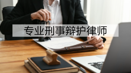 办案成果展示