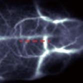 上海数联生物科技有限公司产品图1