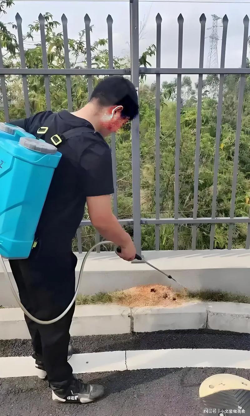福建猫头鹰环保服务有限公司