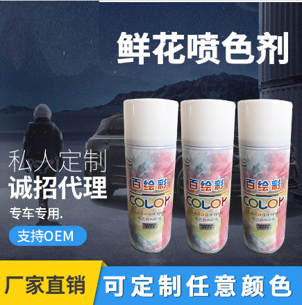 益阳市赫山区百绘彩贸易有限公司形象图
