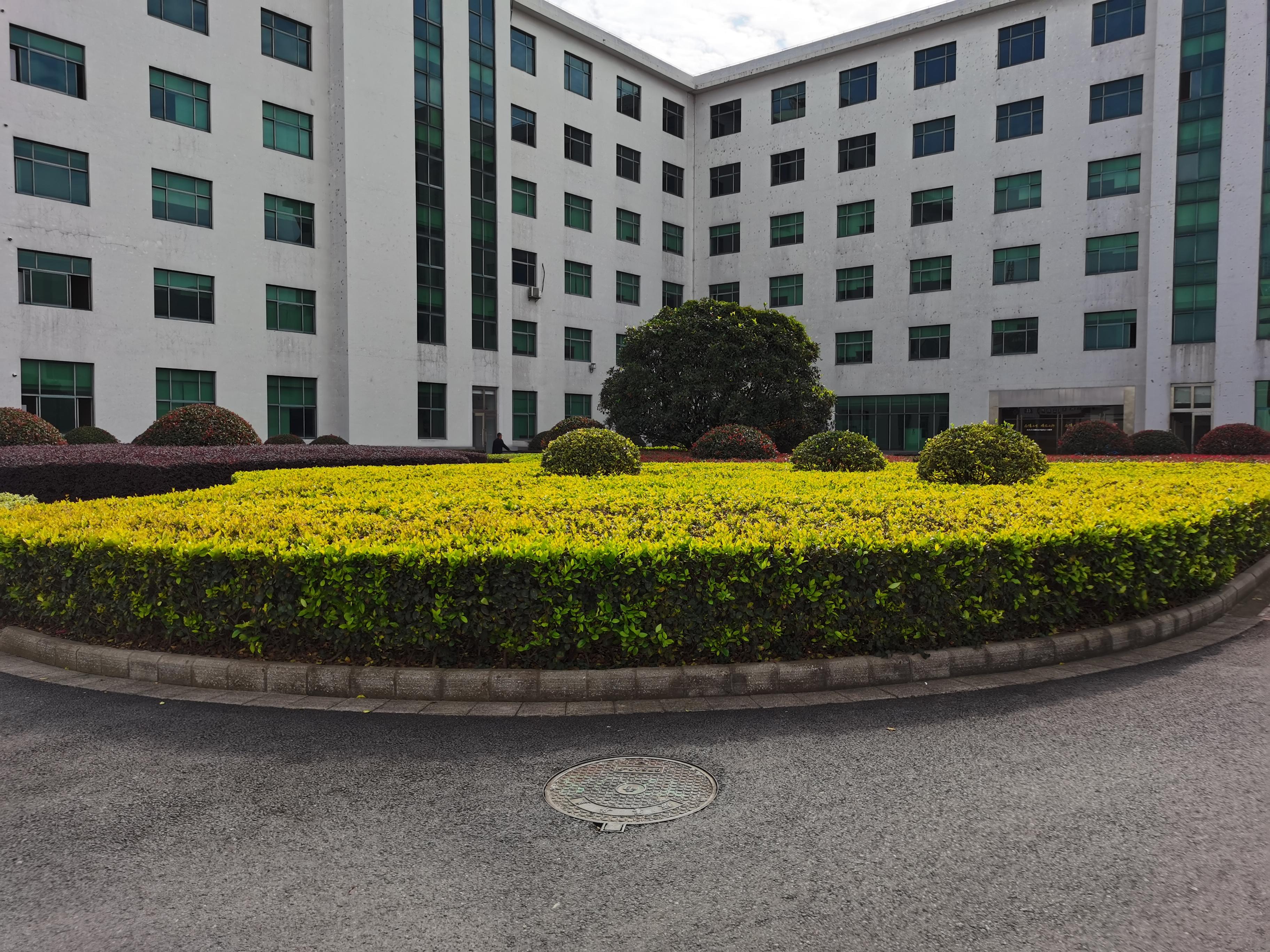 常州市荣轩园林绿化工程有限公司 绿化施工