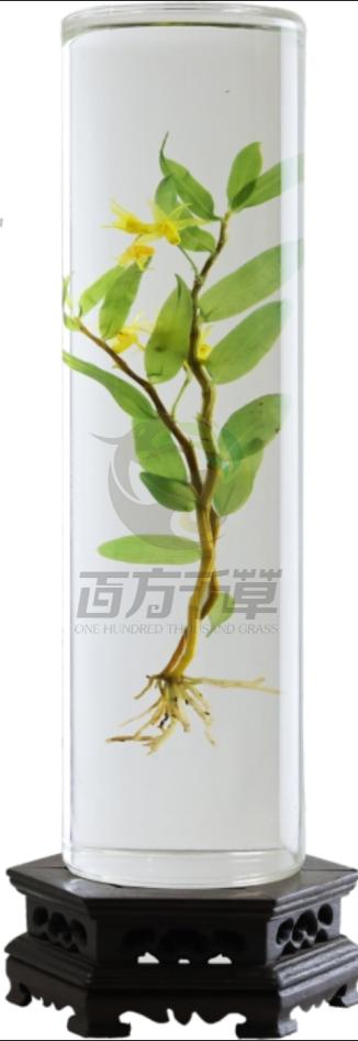 生产车间