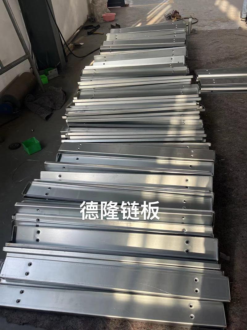 宁津德隆机械链板产品