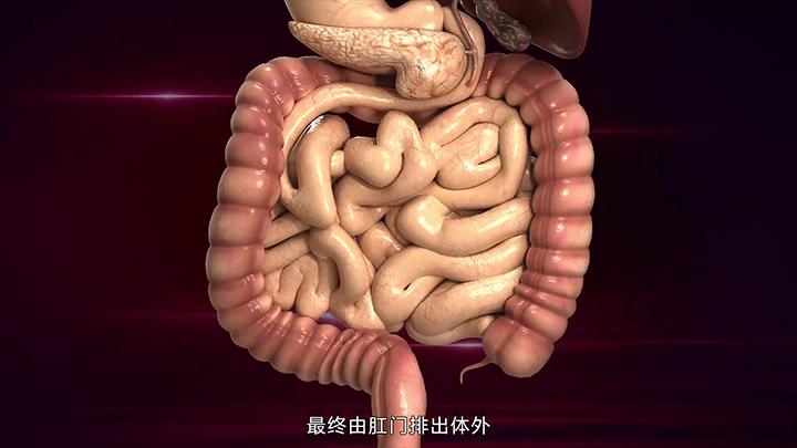 辅星三维