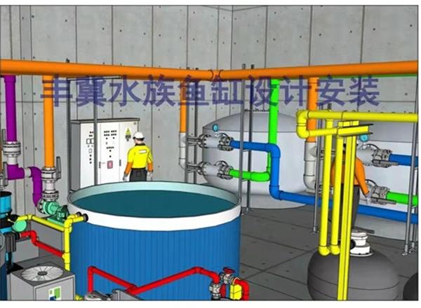 丰冀水族工程案例