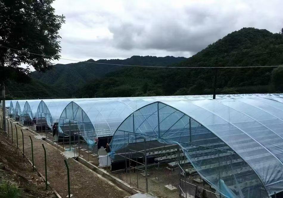 兴润达大棚骨架产品