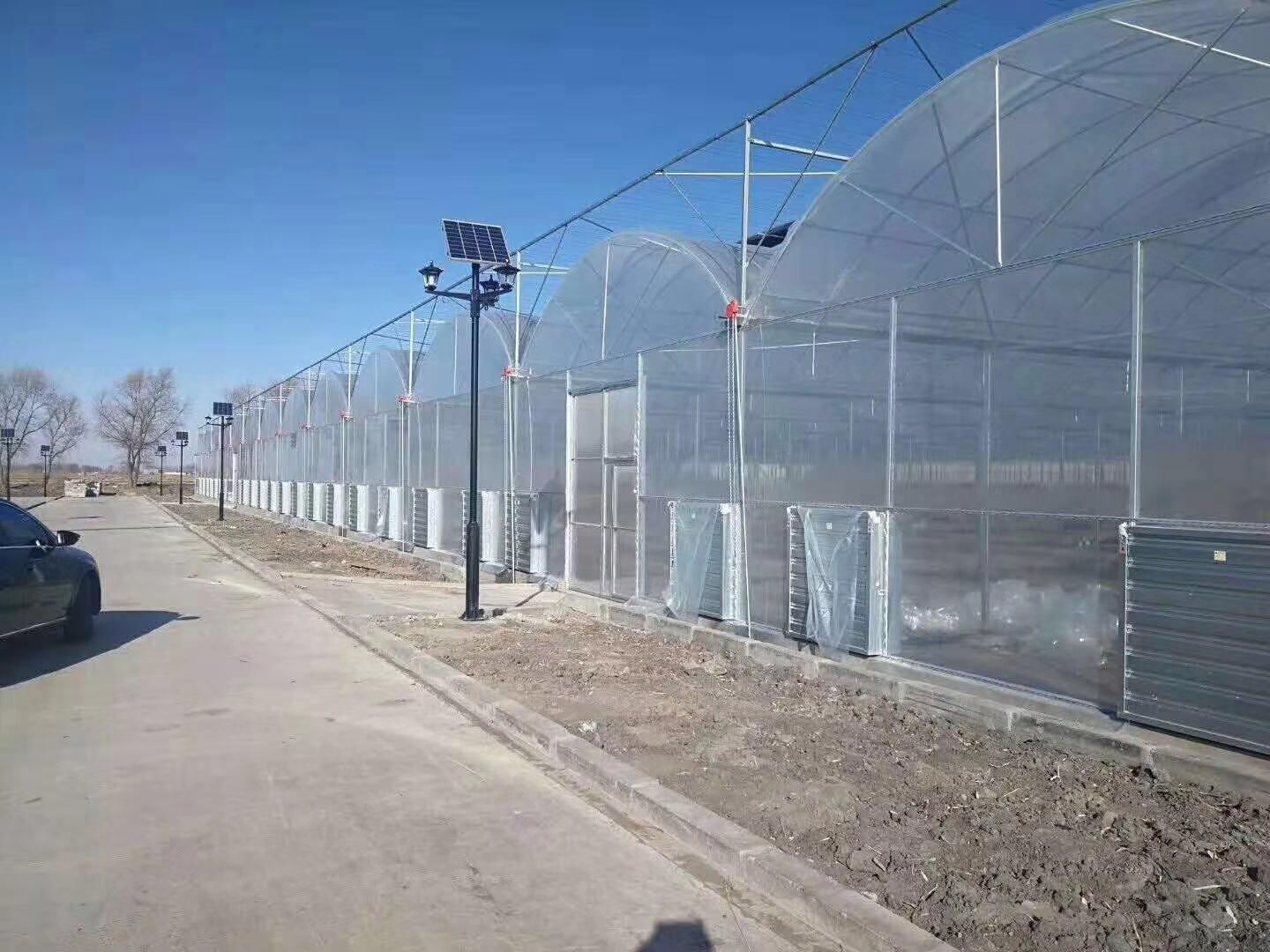 山东大楚温室工程有限公司