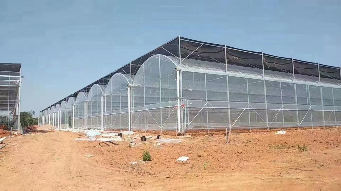 山东大楚温室工程有限公司