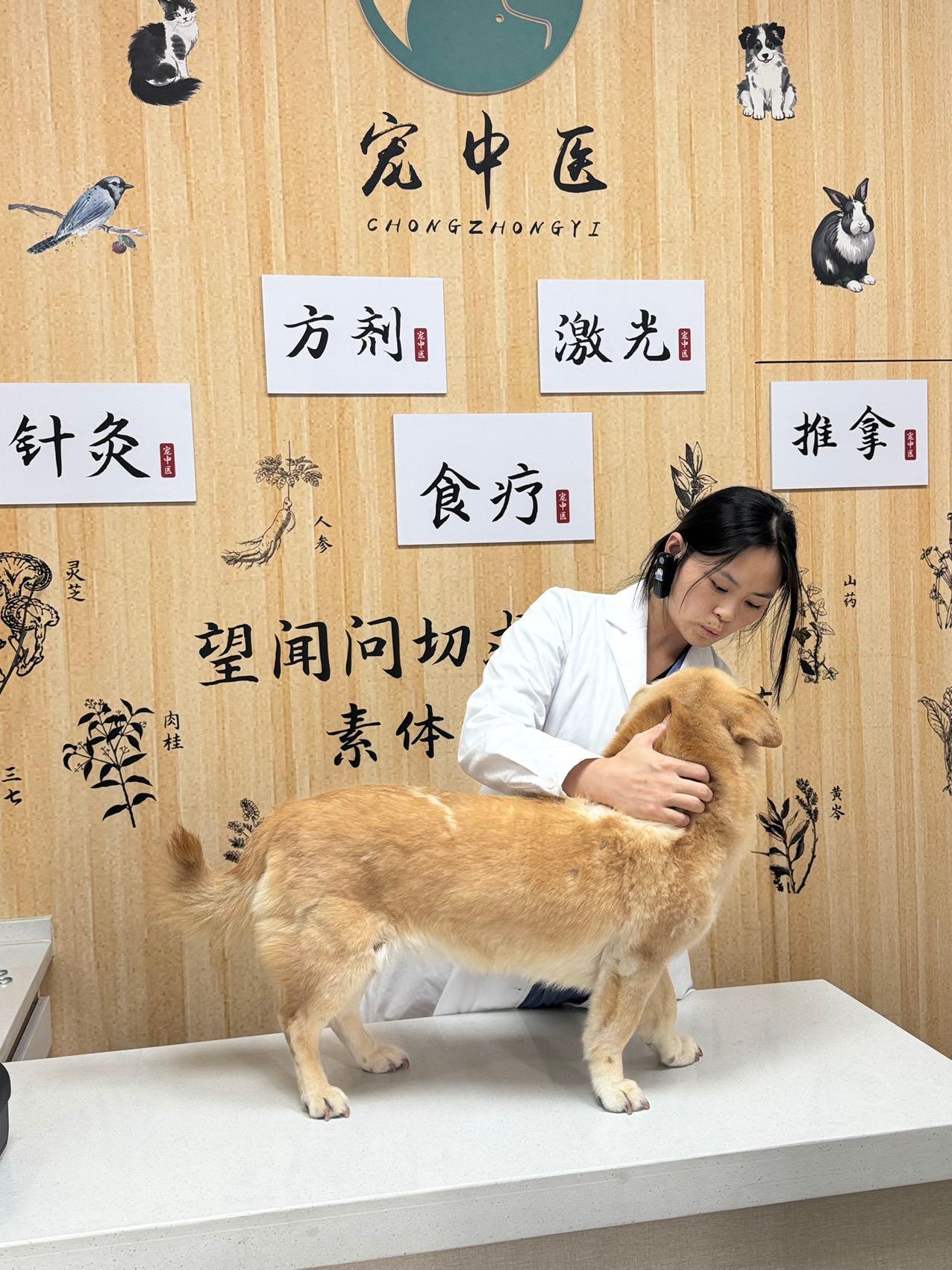 瑞派福华龙华手术室