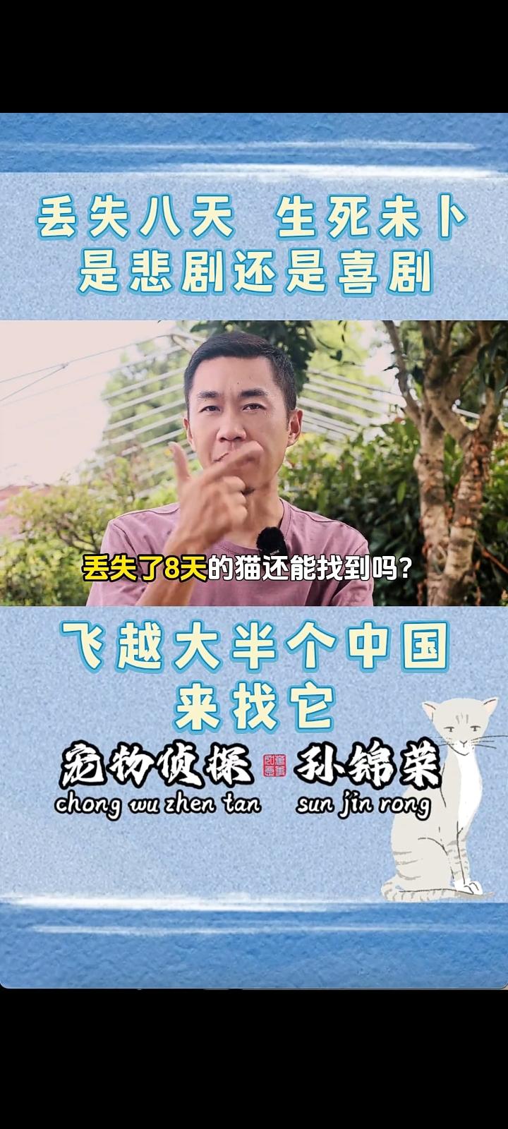 团队作业