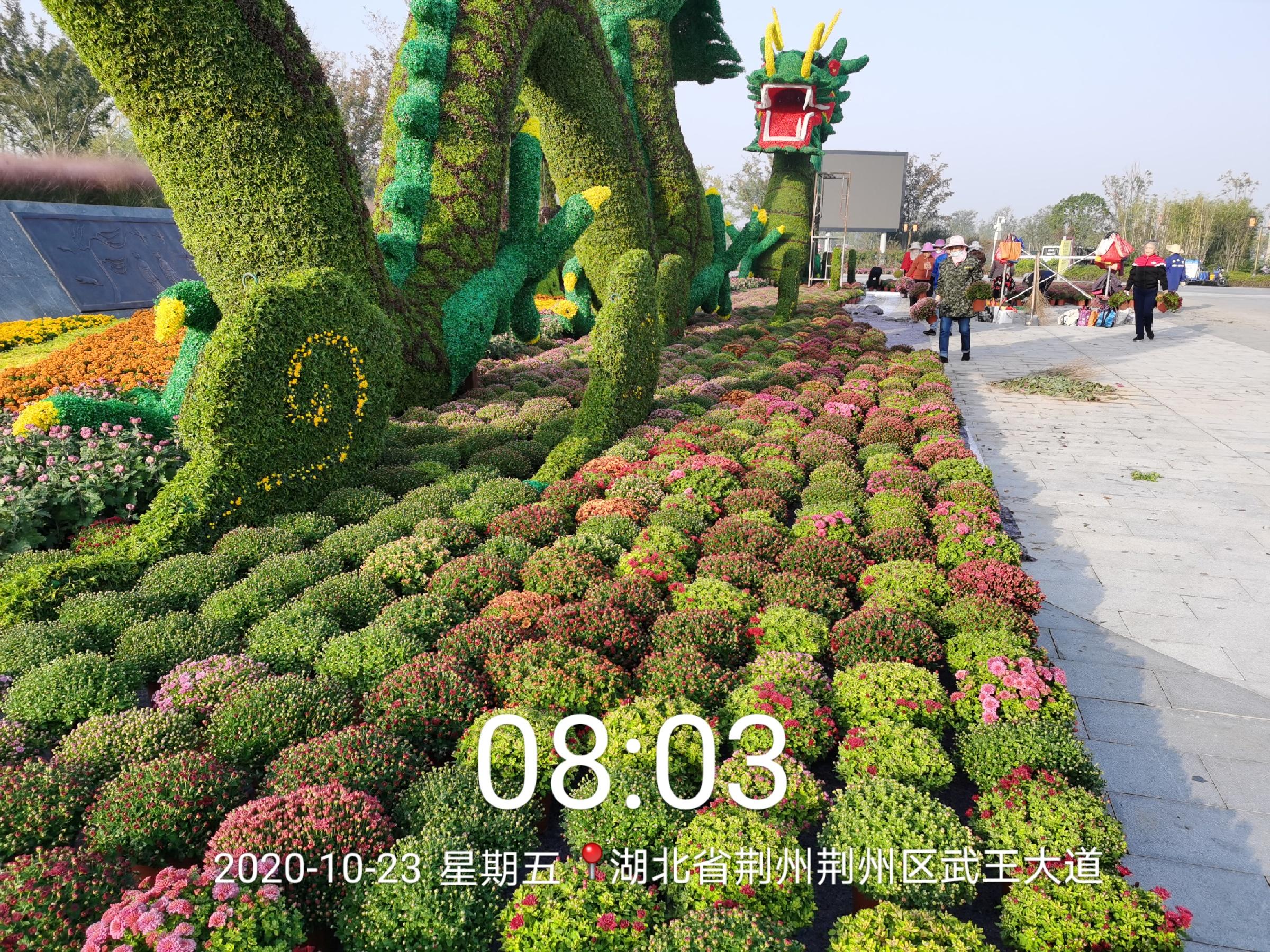 立体花坛绿雕造型