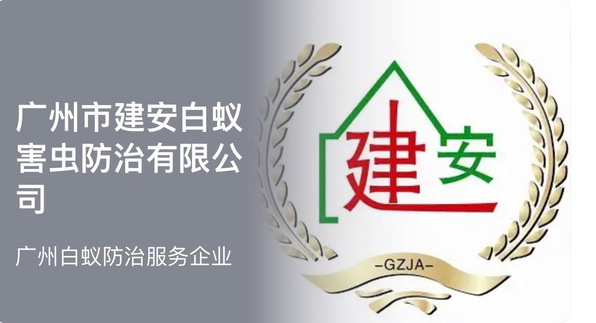 白蚁防治服务