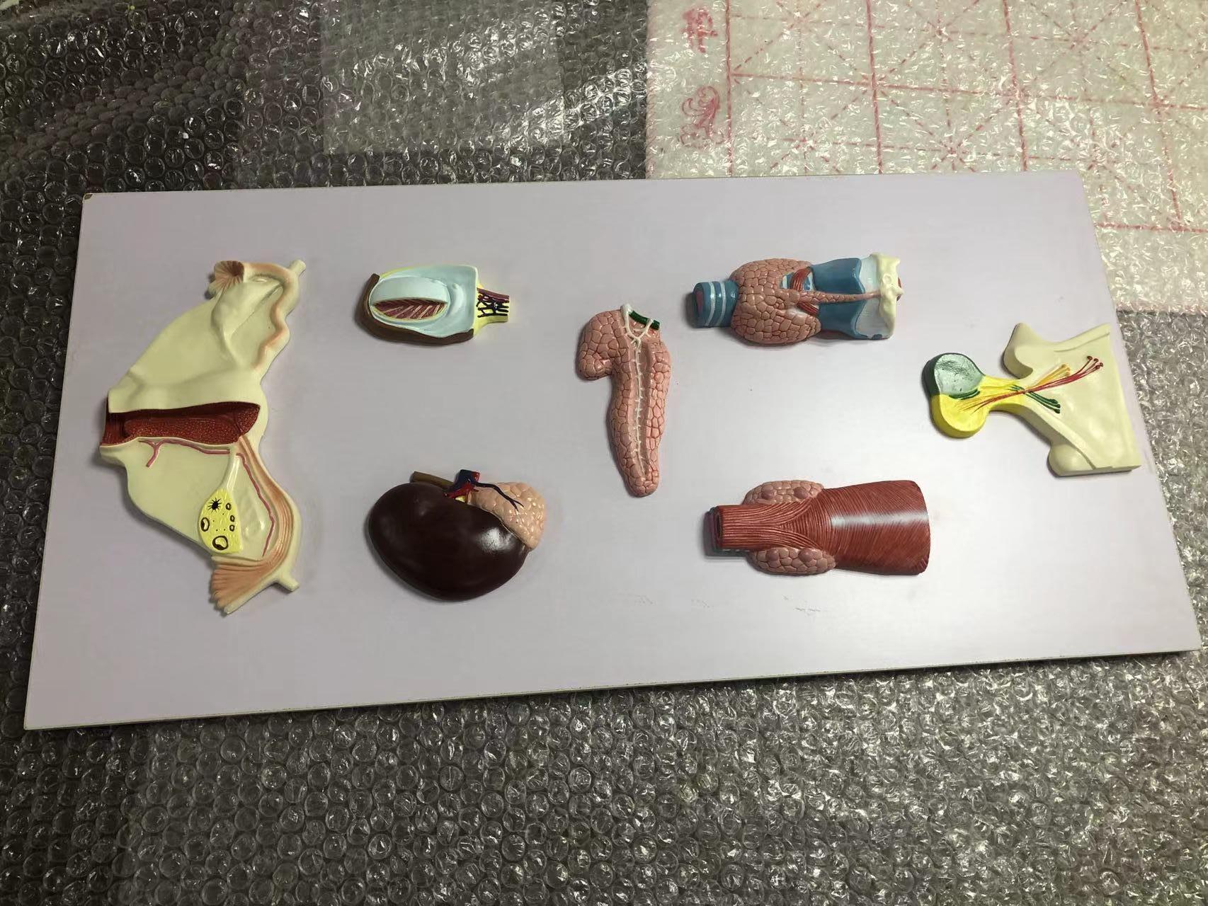 恒之奇产品示例2